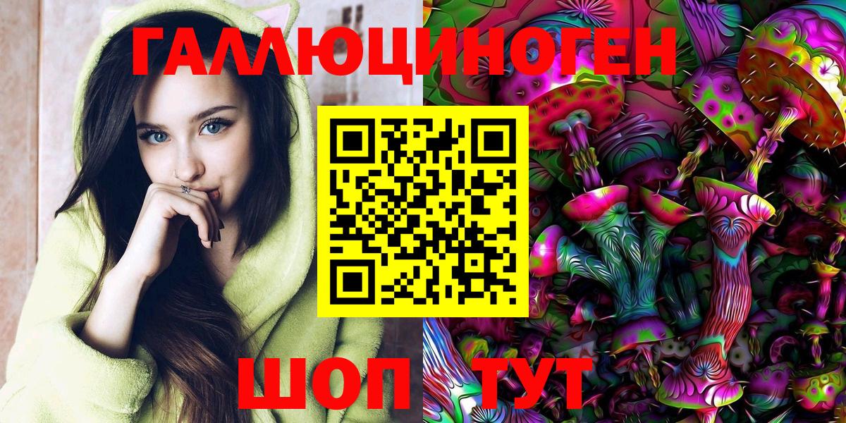 Псилоцибиновые грибы Psilocybine cubensis Энгельс