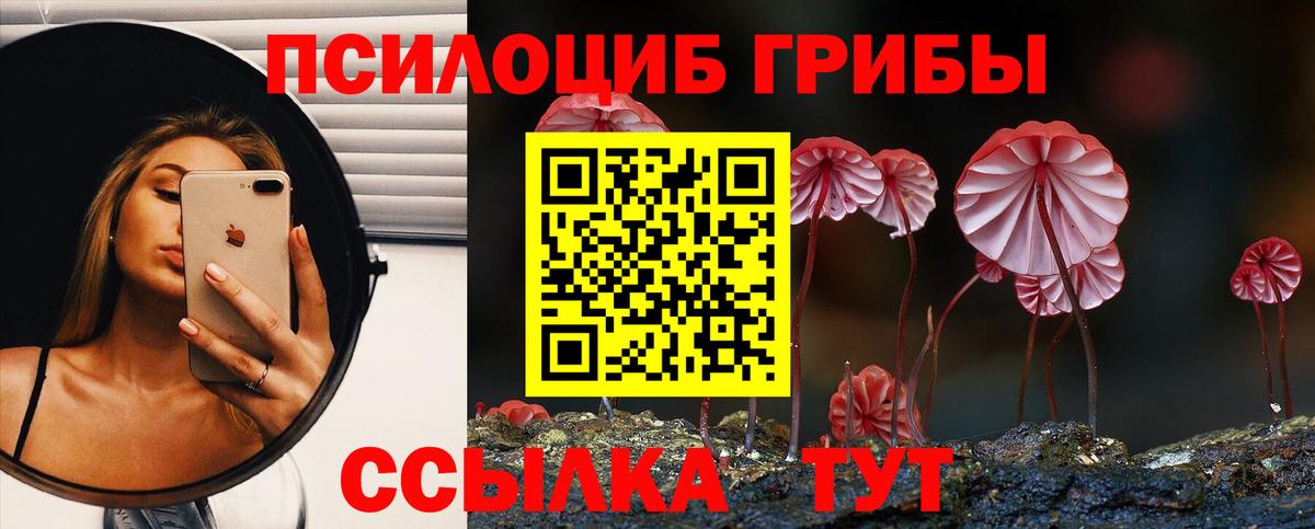 Энгельс  Галлюциногенные грибы Psilocybine cubensis  Вход с VPN 